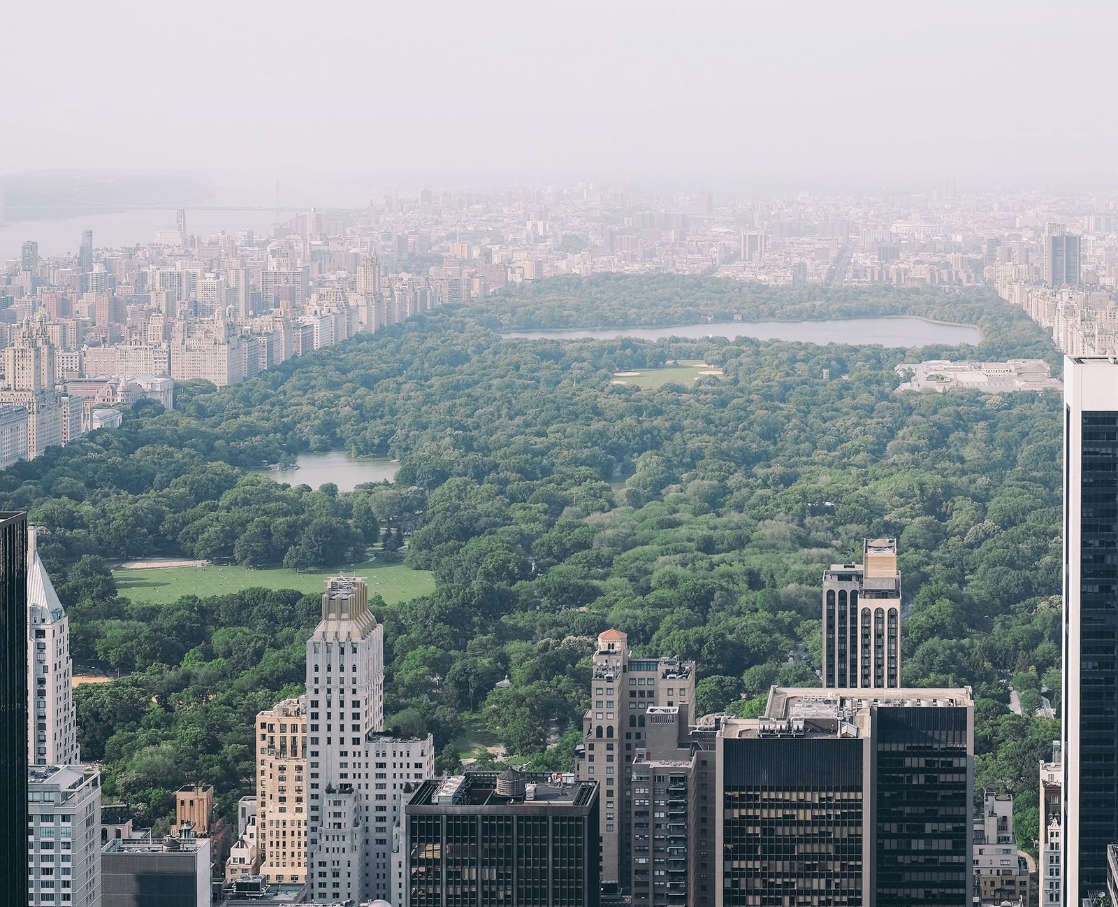 photo-1445346366695-5bf62de05412